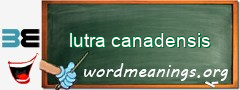 WordMeaning blackboard for lutra canadensis